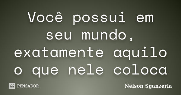 Você possui em seu mundo, exatamente aquilo o que nele coloca... Frase de Nelson Sganzerla.