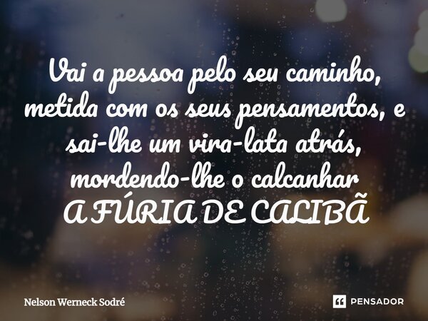 ⁠Vai a pessoa pelo seu caminho, metida com os seus pensamentos, e sai-lhe um vira-lata atrás, mordendo-lhe o calcanhar A FÚRIA DE CALIBÃ... Frase de Nelson Werneck Sodré.