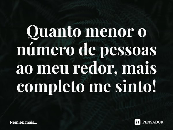 ⁠Quanto menor o número de pessoas ao meu redor, mais completo me sinto!... Frase de Nem sei mais....