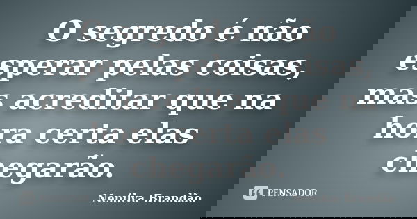 O segredo é não esperar pelas coisas, mas acreditar que na hora certa elas chegarão.... Frase de Nenilva Brandão.