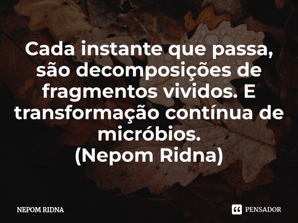 ⁠Cada instante que passa, são decomposições de fragmentos vividos. E transformação contínua de micróbios. (Nepom Ridna)... Frase de NEPOM RIDNA.