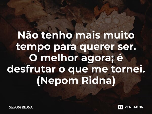 Não tenho mais muito tempo para querer ser. O melhor agora; é desfrutar o que me tornei. (Nepom Ridna)⁠... Frase de NEPOM RIDNA.