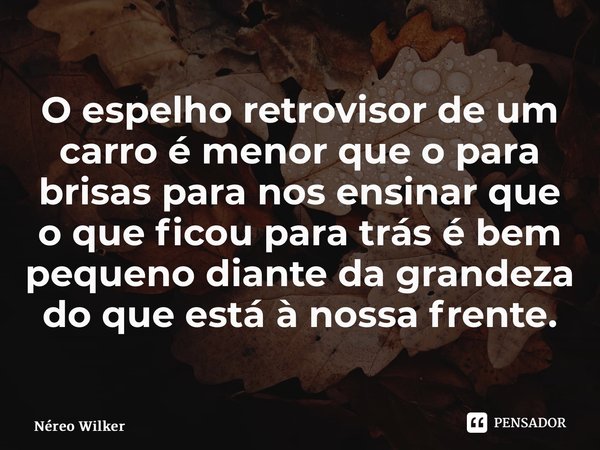 ⁠O espelho retrovisor de um carro é menor que o para brisas para nos ensinar que o que ficou para trás é bem pequeno diante da grandeza do que está à nossa fren... Frase de Néreo Wilker.