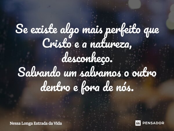 ⁠Se existe algo mais perfeito que Cristo e a natureza, desconheço. Salvando um salvamos o outro dentro e fora de nós.... Frase de Nessa Longa Estrada da Vida.