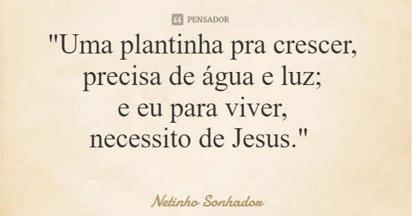 "Uma plantinha pra crescer, precisa de água e luz; e eu para viver, necessito de Jesus."... Frase de Netinho Sonhador.