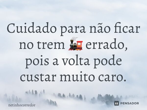 ⁠Cuidado para não ficar no trem 🚂 errado, pois a volta pode custar muito caro.... Frase de Netinhocorredor.