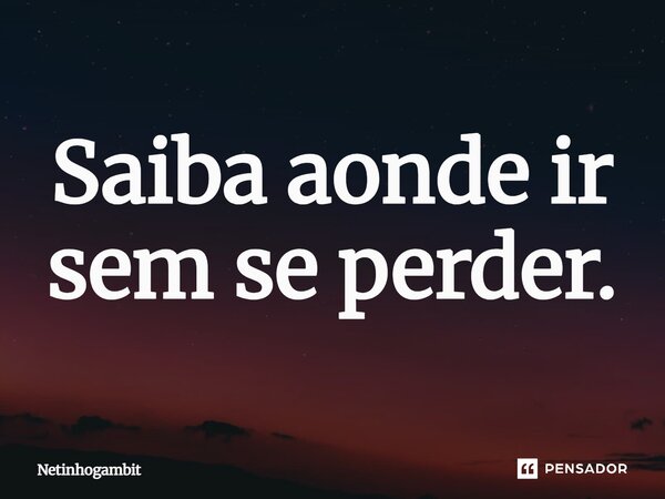 Saiba aonde ir sem se perder.... Frase de Netinhogambit.