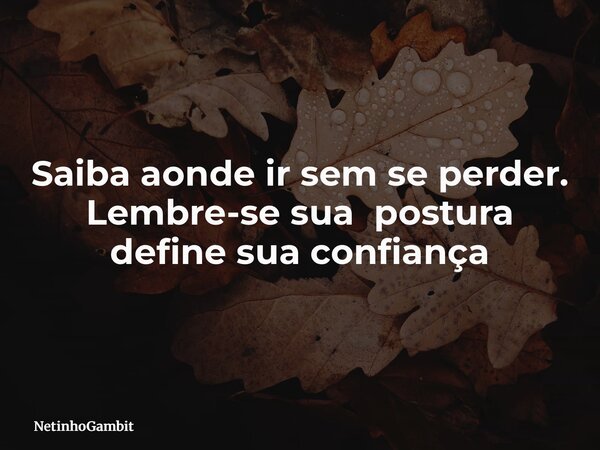 Saiba aonde ir sem se perder. Lembre-se sua postura define sua confiança... Frase de NetinhoGambit.