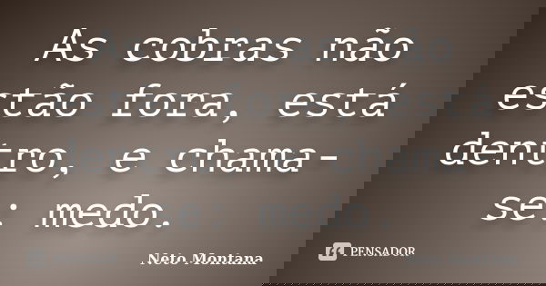 As cobras não estão fora, está dentro, e chama-se: medo.... Frase de Neto Montana.