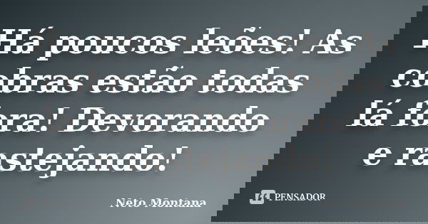 Há poucos leões! As cobras estão todas lá fora! Devorando e rastejando!... Frase de Neto Montana.