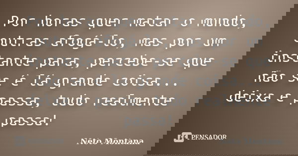 Por horas quer matar o mundo, outras afogá-lo, mas por um instante para, percebe-se que não se é lá grande coisa... deixa e passa, tudo realmente passa!... Frase de Neto Montana.