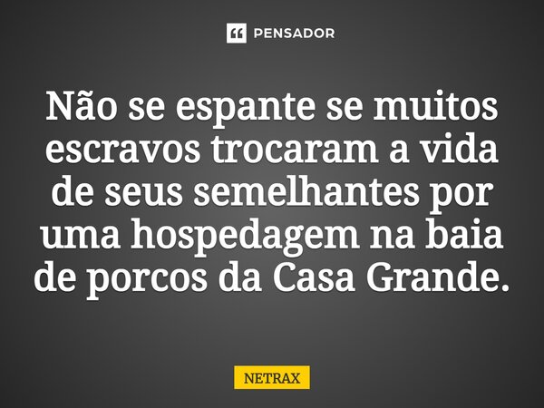 ⁠Não se espante se muitos escravos trocaram a vida de seus semelhantes por uma hospedagem na baia de porcos da Casa Grande.... Frase de NETRAX.