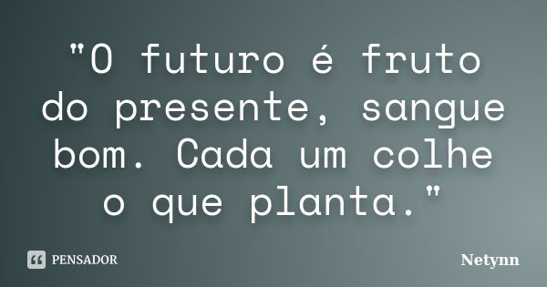 "O futuro é fruto do presente, sangue bom. Cada um colhe o que planta."... Frase de Netynn.