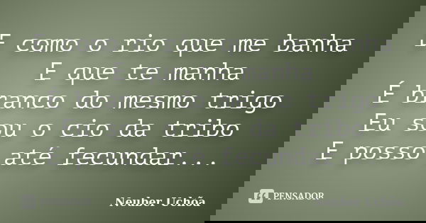 E como o rio que me banha E que te manha É branco do mesmo trigo Eu sou o cio da tribo E posso até fecundar...... Frase de Neuber Uchõa.
