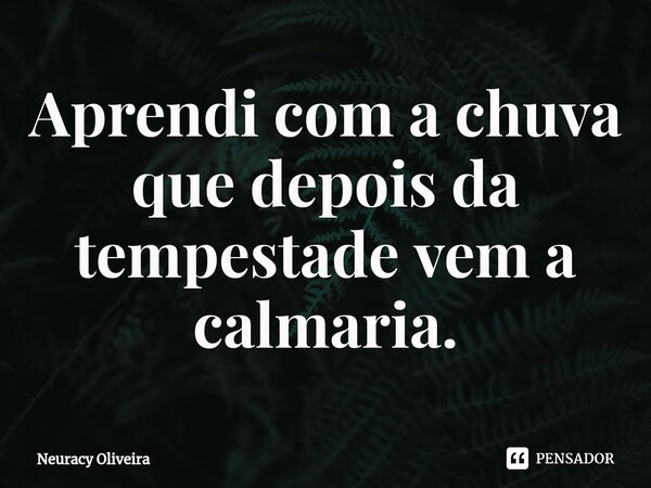 ⁠Aprendi com a chuva que depois da tempestade vem a calmaria.... Frase de Neuracy Oliveira.