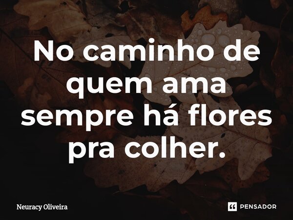 ⁠No caminho de quem ama sempre há flores pra colher.... Frase de Neuracy Oliveira.