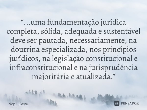 ⁠“...uma fundamentação jurídica completa, sólida, adequada e sustentável deve ser pautada, necessariamente, na doutrina especializada, nos princípios jurídicos,... Frase de Ney J. Costa.