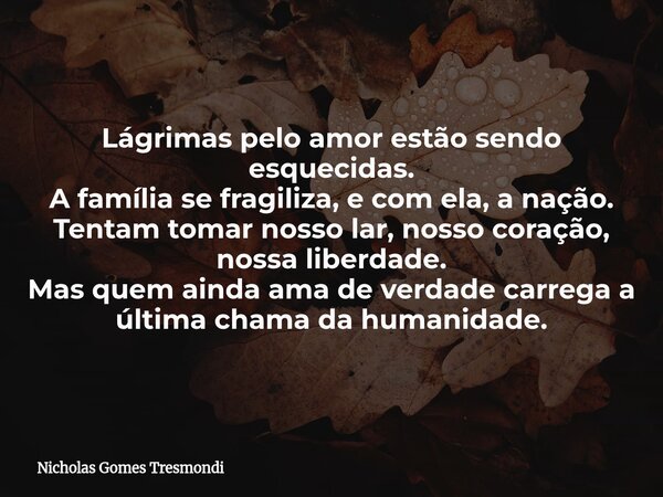 Lágrimas pelo amor estão sendo esquecidas. A família se fragiliza, e com ela, a nação. Tentam tomar nosso lar, nosso coração, nossa liberdade. Mas quem ainda am... Frase de Nicholas Gomes Tresmondi.