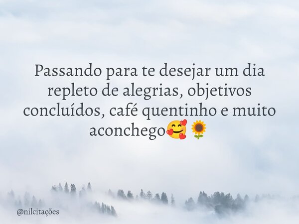 Passando para te desejar um dia repleto de alegrias, objetivos concluídos, café quentinho e muito aconchego🥰🌻... Frase de nilcitações.