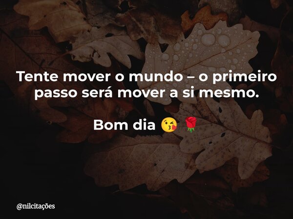 Tente mover o mundo – o primeiro passo será mover a si mesmo. Bom dia 😘 🌹... Frase de nilcitações.