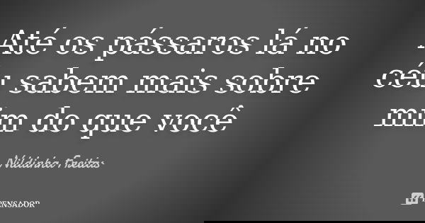 Até os pássaros lá no céu sabem mais sobre mim do que você... Frase de Nildinha Freitas.