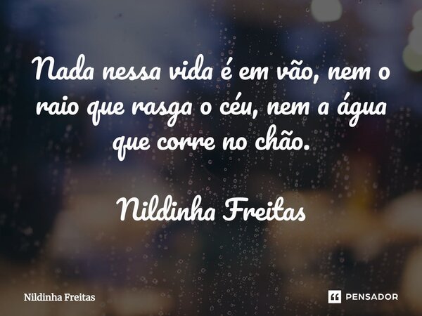 Nada nessa vida é em vão, nem o raio que rasga o céu, nem a água que corre no chão. Nildinha Freitas... Frase de Nildinha Freitas.