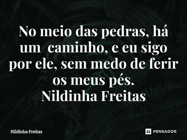 ⁠No meio das pedras, há um caminho, e eu sigo por ele, sem medo de ferir os meus pés. Nildinha Freitas... Frase de Nildinha Freitas.