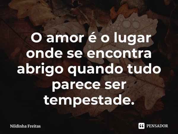 ⁠ O amor é o lugar onde se encontra abrigo quando tudo parece ser tempestade.... Frase de Nildinha Freitas.