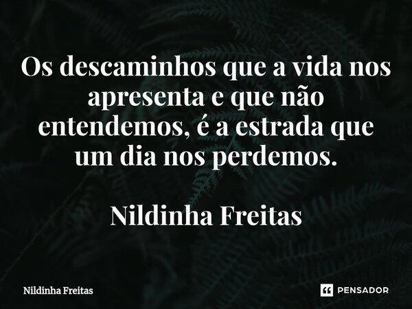 ⁠Os descaminhos que a vida nos apresenta e que não entendemos, é a estrada que um dia nos perdemos. Nildinha Freitas... Frase de Nildinha Freitas.