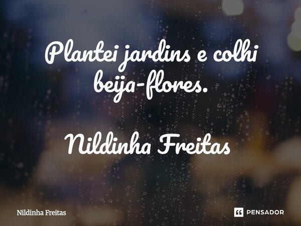 Plantei jardins e colhi beija-flores. Nildinha Freitas ⁠... Frase de Nildinha Freitas.