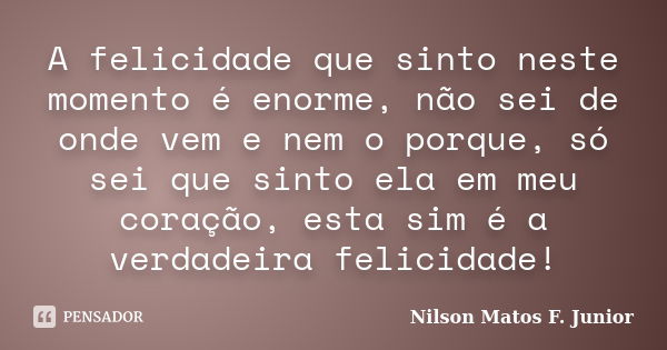 A felicidade que sinto neste momento é enorme, não sei de onde vem e nem o porque, só sei que sinto ela em meu coração, esta sim é a verdadeira felicidade!... Frase de Nilson Matos F. Junior.