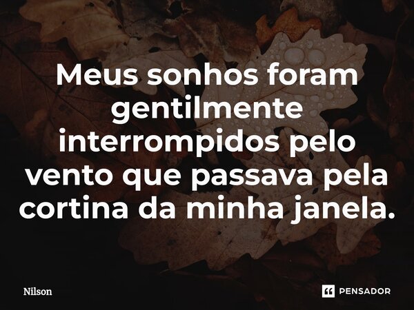 Meus sonhos foram gentilmente interrompidos pelo vento que passava pela cortina da minha janela.... Frase de Nilson.