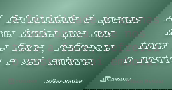 A felicidade é apenas uma brisa que nos toca a face, refresca o rosto e vai embora.... Frase de Nilson Rutizat.