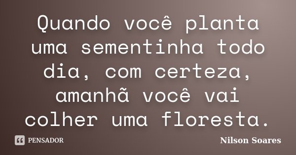 Quando você planta uma sementinha todo dia, com certeza, amanhã você vai colher uma floresta.... Frase de Nilson Soares.