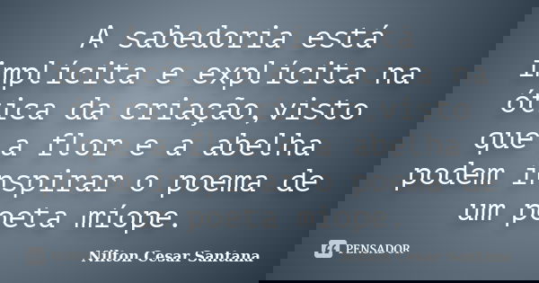 A sabedoria está implícita e explícita na ótica da criação,visto que a flor e a abelha podem inspirar o poema de um poeta míope.... Frase de Nilton Cesar Santana.