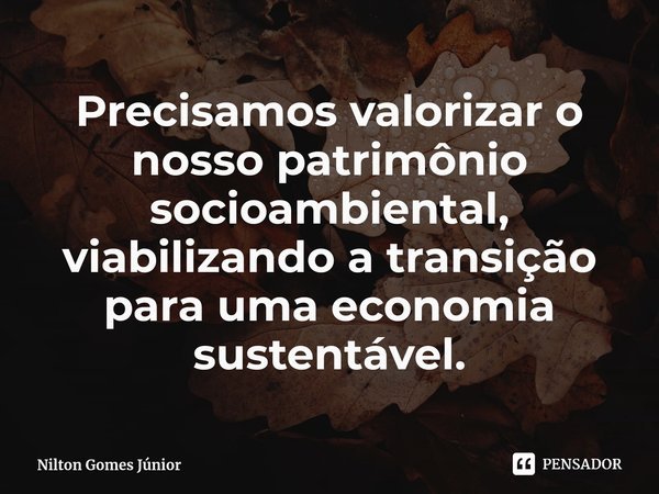 ⁠Precisamos ⁠valorizar o nosso patrimônio socioambiental, viabilizando a transição para uma economia sustentável.... Frase de Nilton Gomes Júnior.