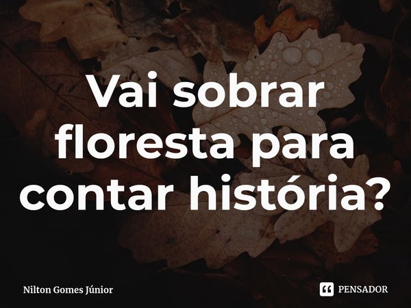 ⁠Vai sobrar floresta para contar história?... Frase de Nilton Gomes Júnior.