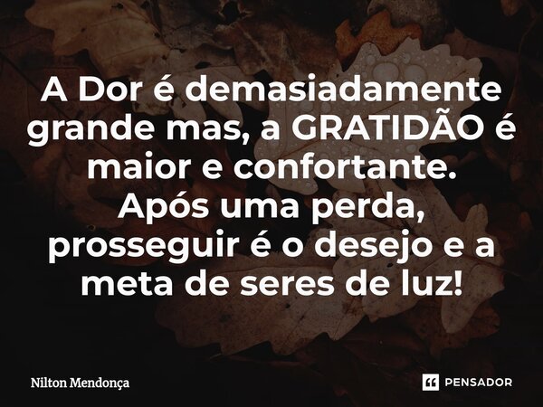 ⁠A Dor é demasiadamente grande mas, a GRATIDÃO é maior e confortante. Após uma perda, prosseguir é o desejo e a meta de seres de luz!... Frase de Nilton Mendonça.