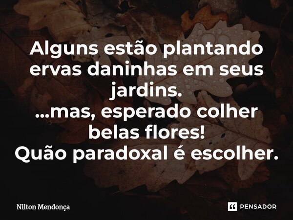 ⁠Alguns estão plantando ervas daninhas em seus jardins. ...mas, esperado colher belas flores! Quão paradoxal é escolher.... Frase de Nilton Mendonça.