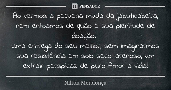 Ao vermos a pequena muda da jabuticabeira, nem entoamos de quão é sua plenitude de doação. Uma entrega do seu melhor, sem imaginarmos sua resistência em solo se... Frase de Nilton Mendonça.