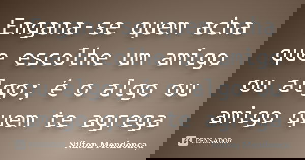 Engana-se quem acha que escolhe um amigo ou algo; é o algo ou amigo quem te agrega... Frase de Nilton Mendonça.