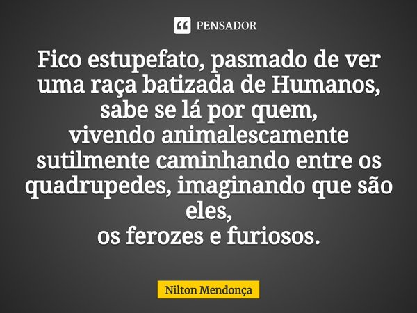 Fico estupefato, pasmado de ver
uma raça batizada de Humanos,
sabe se lá por quem,
vivendo animalescamente
sutilmentecaminhando entre os quadrupedes,imaginandoq... Frase de Nilton Mendonça.
