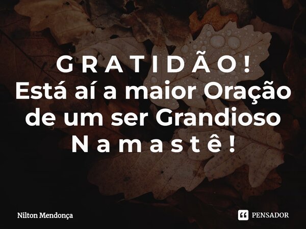 ⁠G R A T I D Ã O ! Está aí a maior Oração de um ser Grandioso N a m a s t ê !... Frase de Nilton Mendonça.
