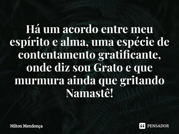 ⁠Há um acordo entre meu espírito e alma, uma espécie de contentamento gratificante, onde diz sou Grato e que murmura ainda que gritando Namastê!... Frase de Nilton Mendonça.