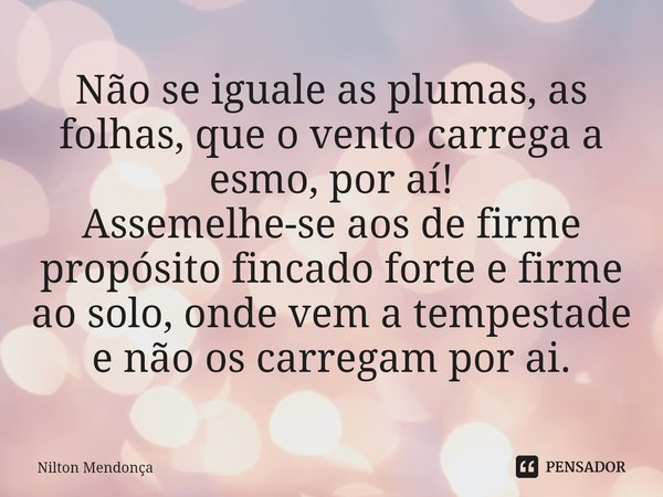 ⁠Não se iguale as plumas, as folhas, que o vento carrega a esmo, por aí! Assemelhe-se aos de firme propósito fincado forte e firme ao solo, onde vem a tempestad... Frase de Nilton Mendonça.