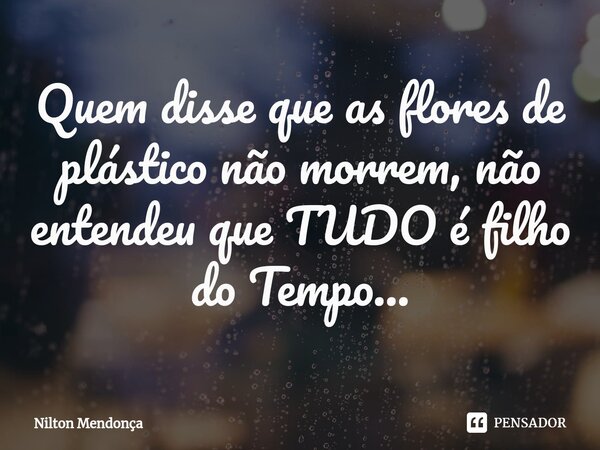 ⁠Quem disse que as flores de plástico não morrem, não entendeu que TUDO é filho do Tempo...... Frase de Nilton Mendonça.