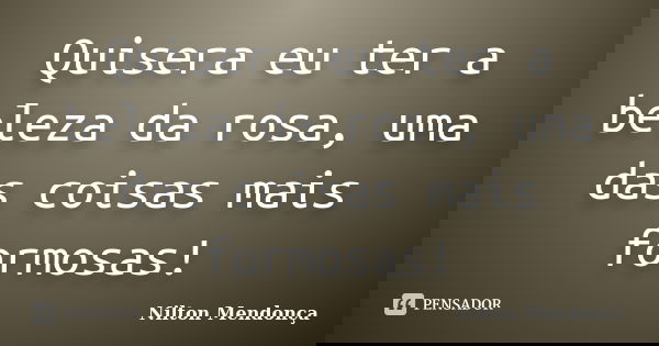 Quisera eu ter a beleza da rosa, uma das coisas mais formosas!... Frase de Nilton Mendonça.