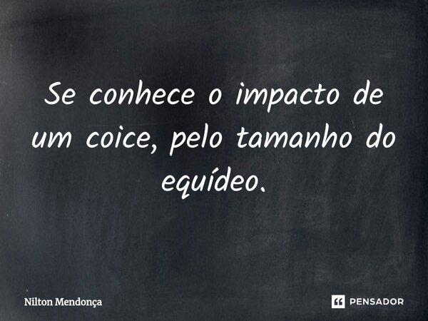 ⁠Se conhece o impacto de um coice, pelo tamanho do equídeo.... Frase de Nilton Mendonça.