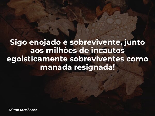 Sigo enojado e sobrevivente, junto aos milhões de incautos egoisticamente sobreviventes como manada resignada!... Frase de Nilton Mendonca.