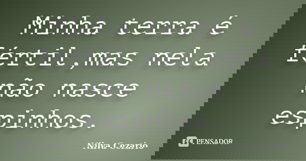 Minha terra é fértil,mas nela não nasce espinhos.... Frase de Nilva Cezario.